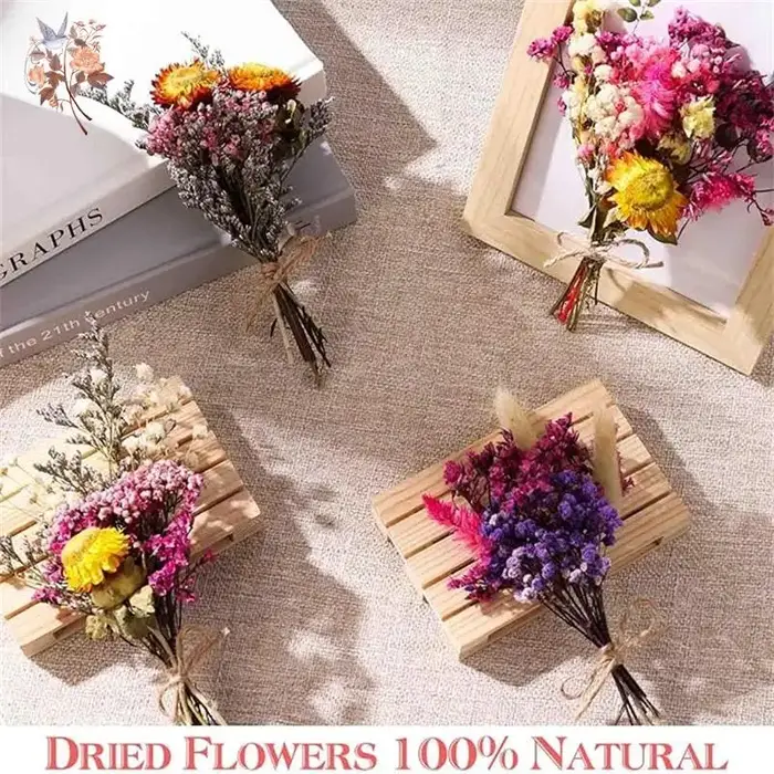 Coffret de matériaux de fleurs séchées mélangées