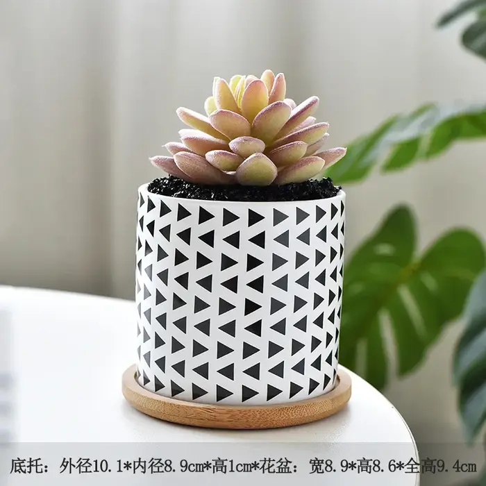 Pots de fleurs en céramique