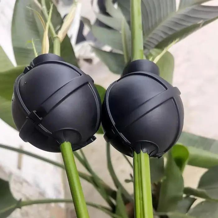 Boîte de bouturage pour plantes