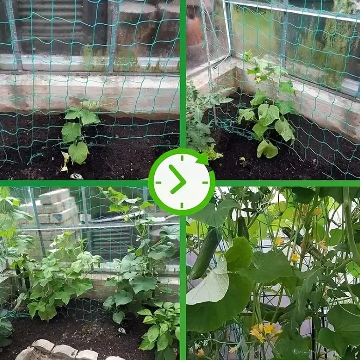 Filet de treillis pour plantes grimpantes