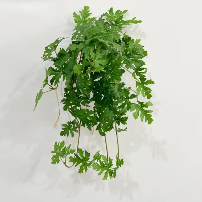 Plante artificielle de lierre de houx de 15