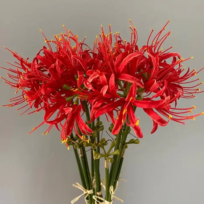Higan – fleur de luxe à longue branche