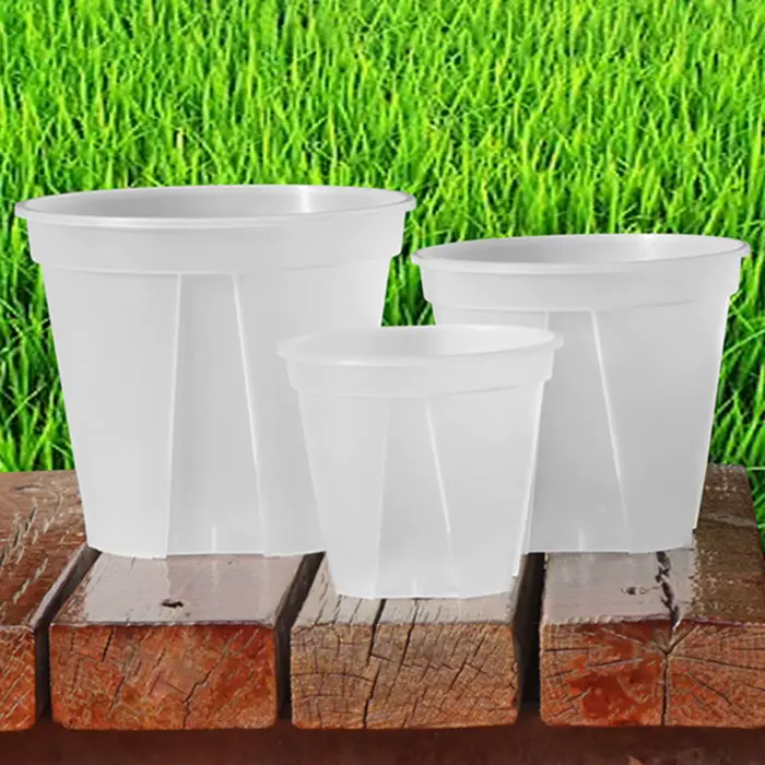 Pots d'orchidées en plastique transparent avec trous
