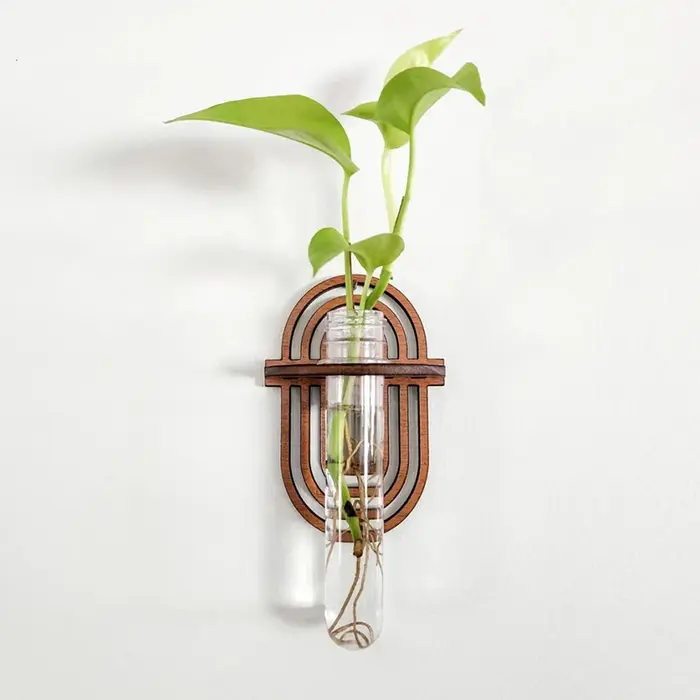 Vase mural pour plantes