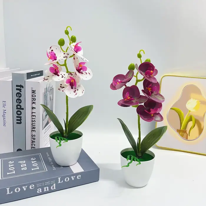Plantes en pot d'orchidées papillon à 5 fleurs