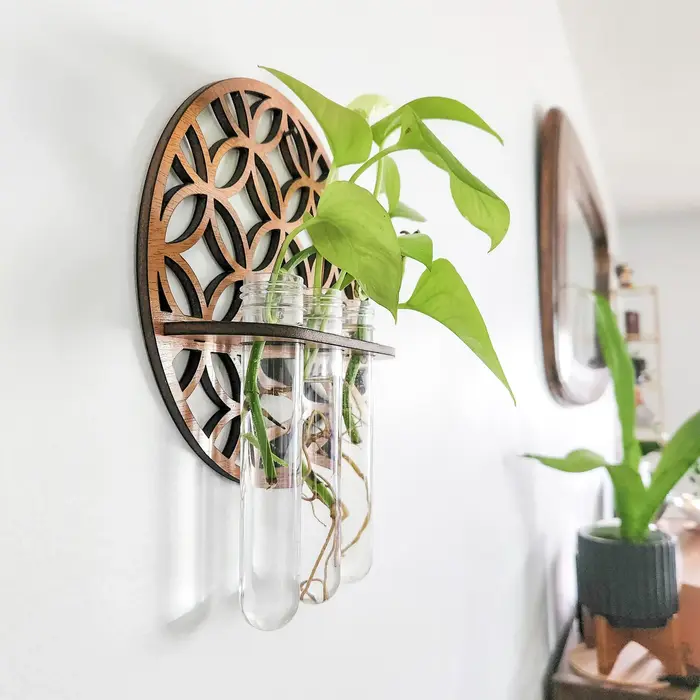 Jardinières murales pour plantes d'intérieur avec 3 Tubes à essai en plastique