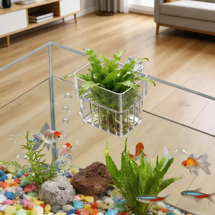 Pot de culture suspendu transparent pour plantes d'aquarium