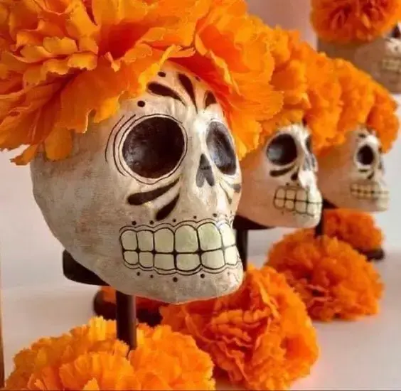 Têtes De fleurs De souci en vrac