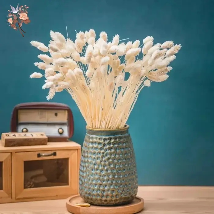 50 pièces de fleurs séchées Phalaris Pampas