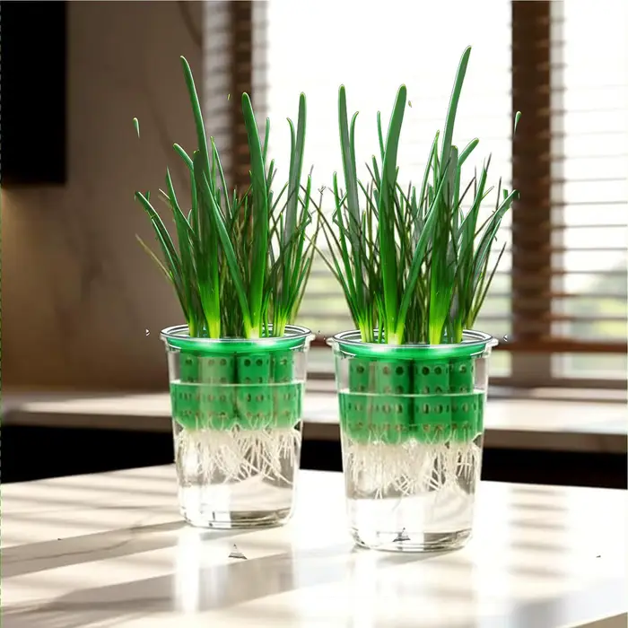 Pot de culture pour la reproduction des oignons verts