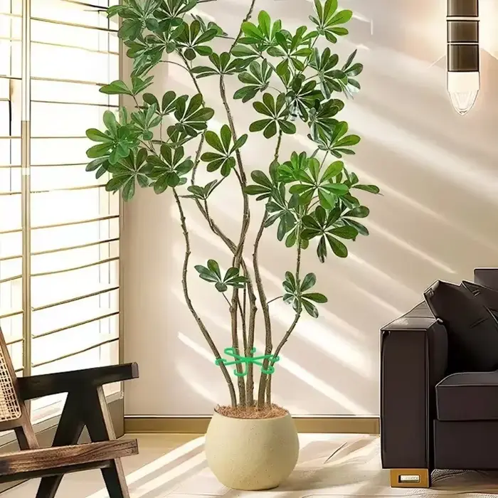 Clips de Support de tige de plante