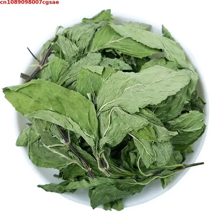 Feuilles de menthe naturelle de haute qualité - Matériaux de fleurs séchées pour bain, fabrication de savon, bougies, décoration de mariage
