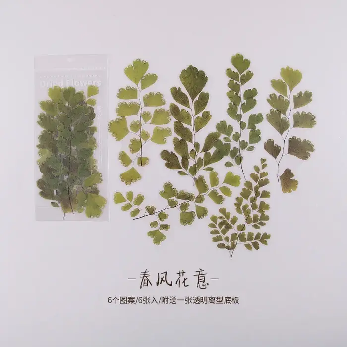 Autocollants de grande plante, matériel de bricolage, série de magasin de fleurs de week-end, journa
