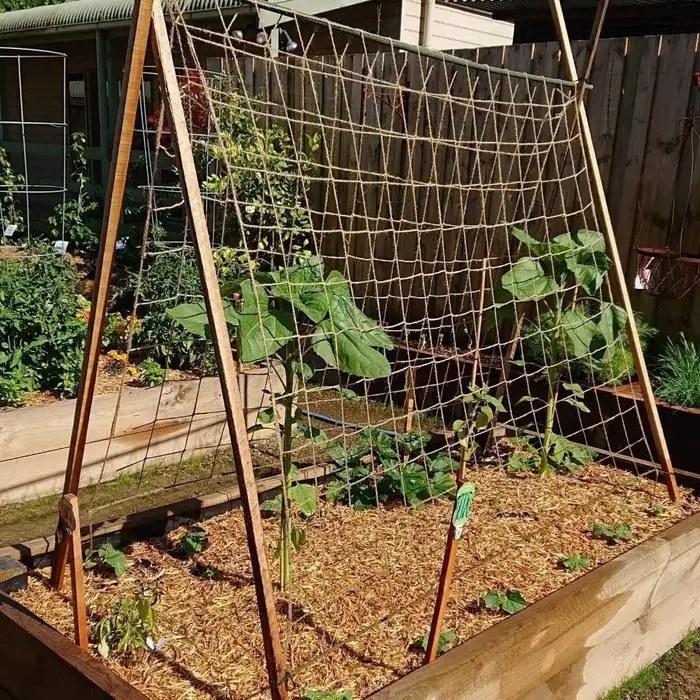 Filet en treillis de Support pour plantes