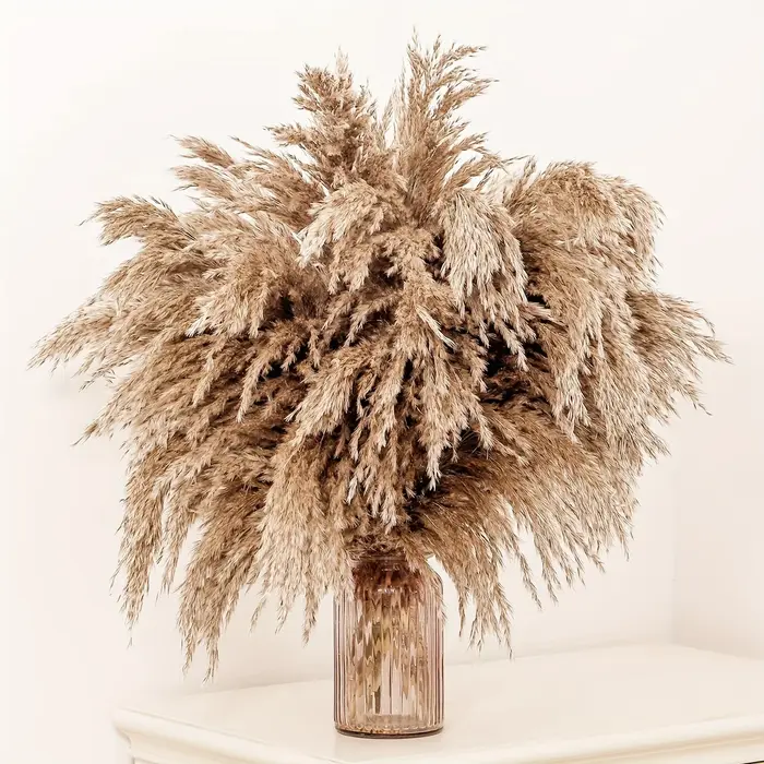 Bouquet de Fleurs de Pampas Sèches Naturelles pour Décoration de Noël, Vase Blanc, pour Mariage, Mai