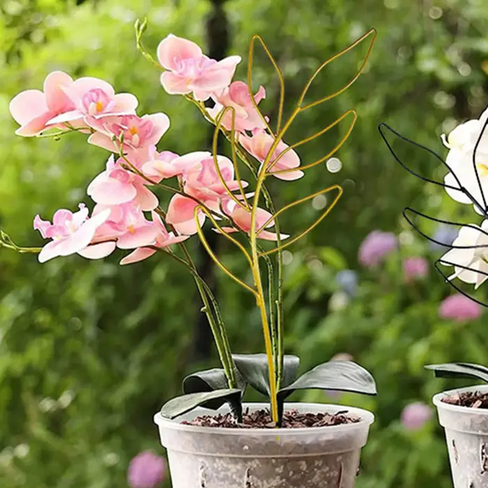 Cadre de support de croissance de plantes en treillis