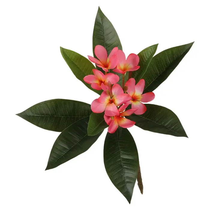 Fleurs de Plumeria artificielles au toucher réel