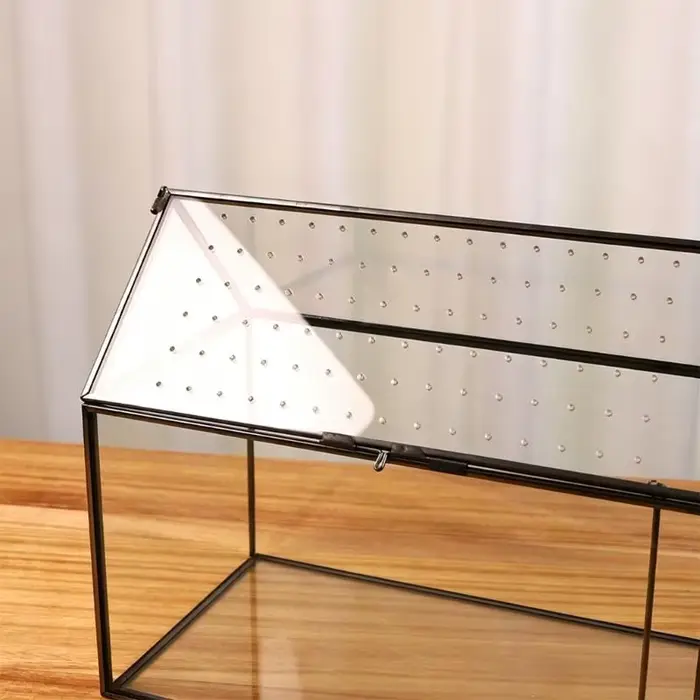 Boîte terrarium en verre pour exposition plantes