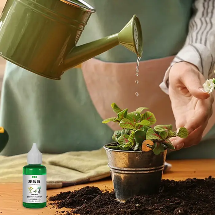 Solution nutritive pour plantes 50 ml