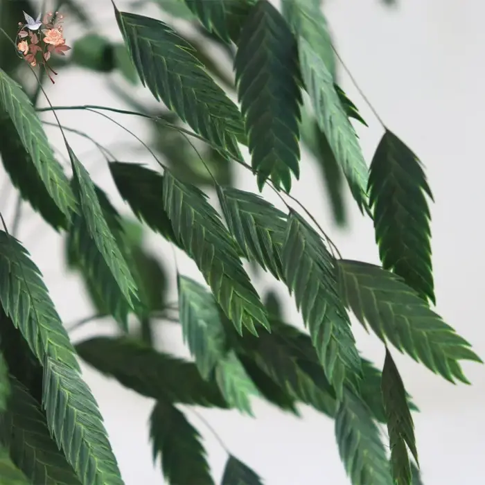 Bouquet de fleurs de Chasmanthium Latifolium séchées naturelles