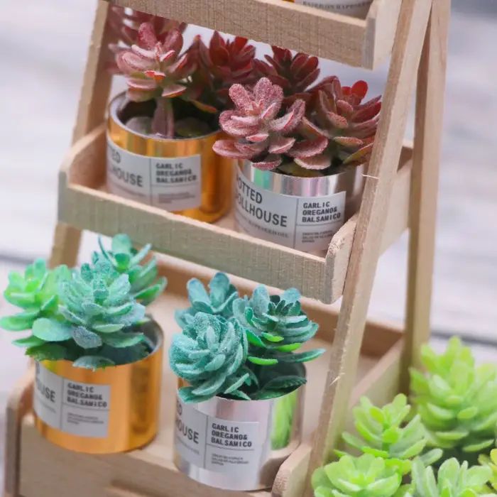 Plante verte l'inventaire en pot