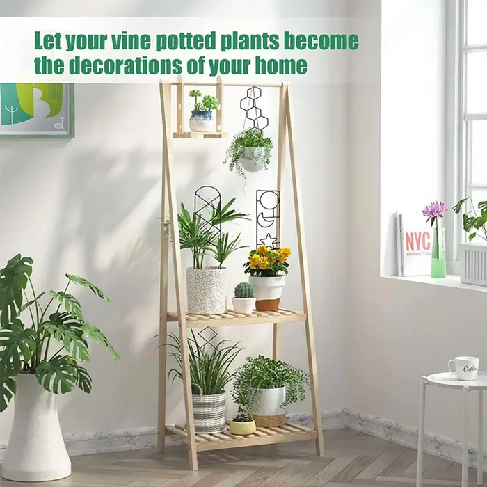 Support pour plantes grimpantes en treillis