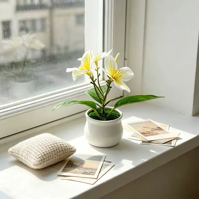 Plante d'orchidée compacte en pot pour usage intérieur et extérieur