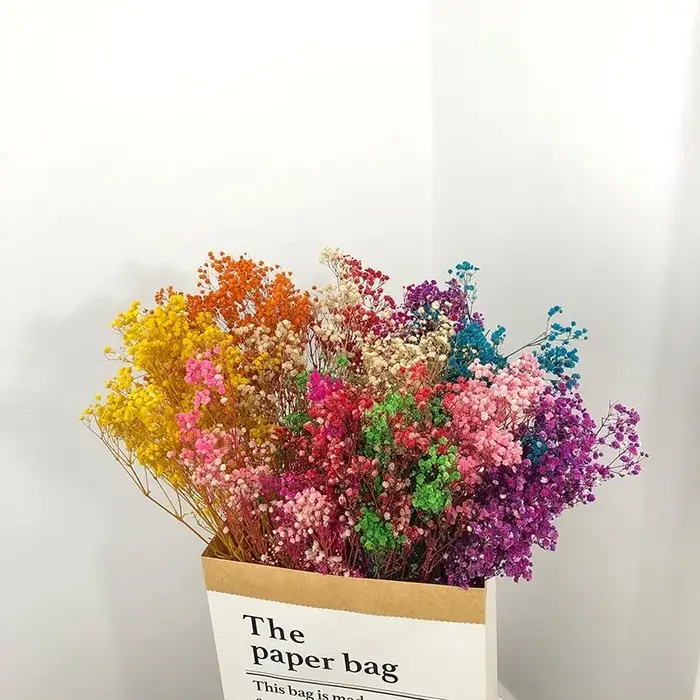 100g fleurs séchées souffle de bébé