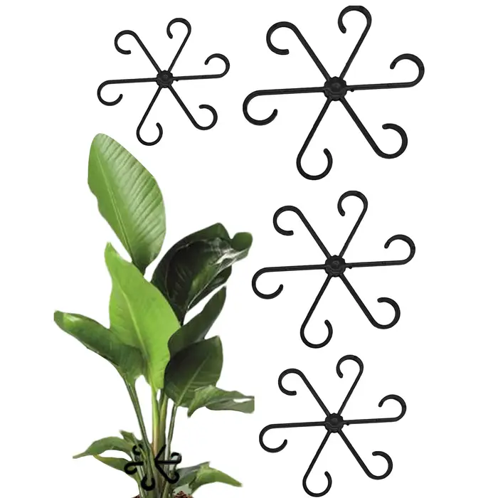 Support de tige d'alocasie Monstera, 4 pièces, Support de feuilles pour plantes grimpantes pour cult