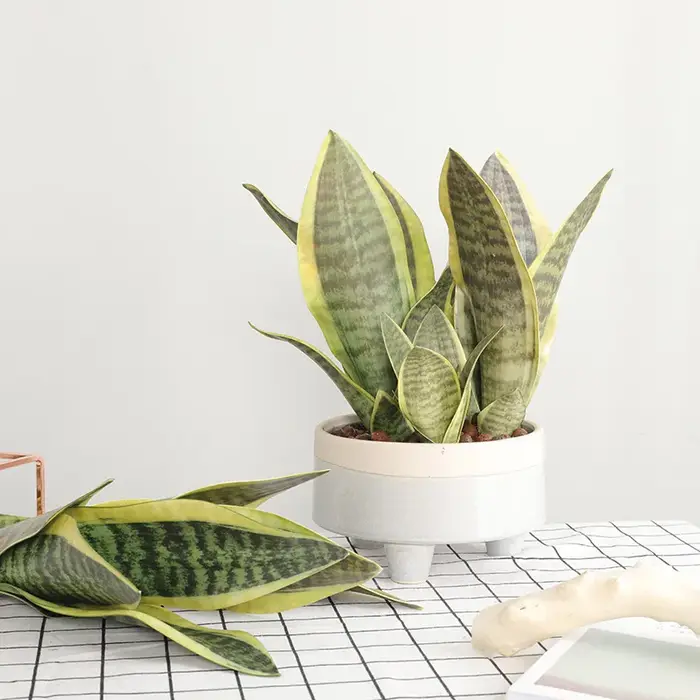 Plantes de tigre Piran artificielles en plastique Tropical