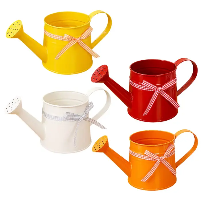 Arrosoir de jardin moderne 1L pour plantes et fleurs