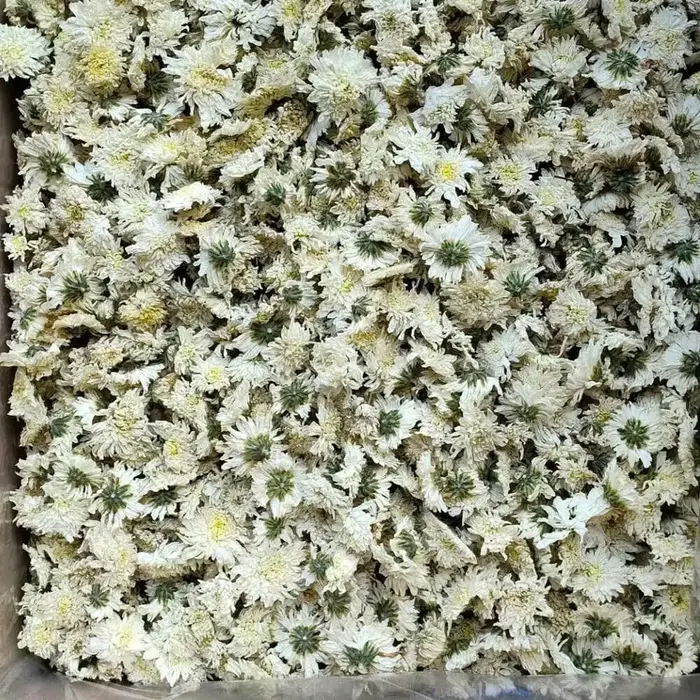 Matériel de simulation pour la fabrication de fleurs, fleur de chrysanthème blanc pour la décoration intérieure, ornement de vase de mariage