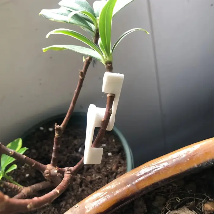 Clips d'entraînement de cintreuse de Branches de plantes