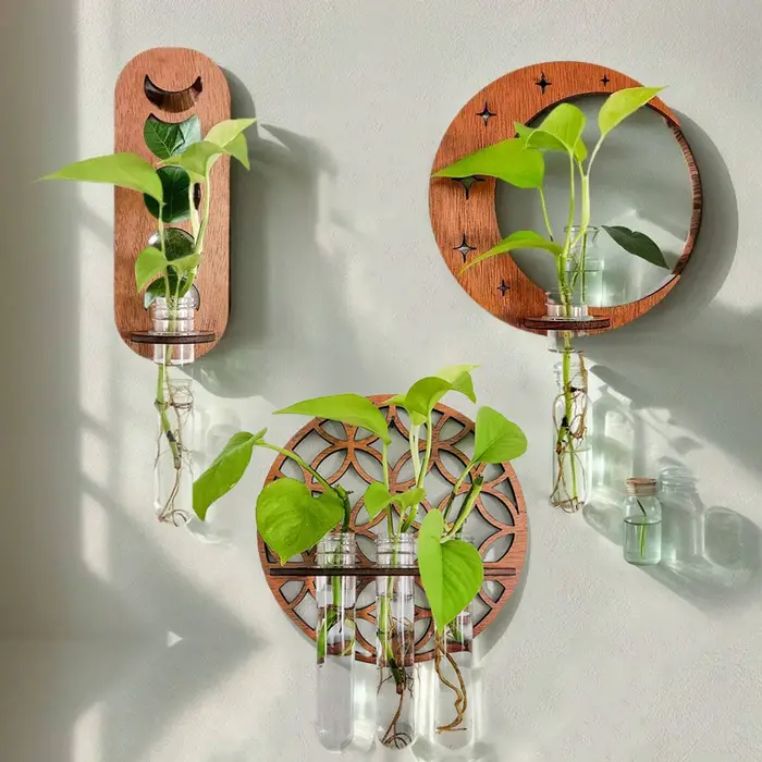 Station de Propagation des plantes