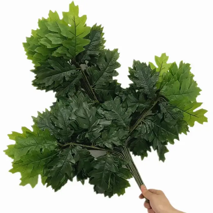 Branche de Cuir oral elu de Chêne Enduit de Colle Artificielle