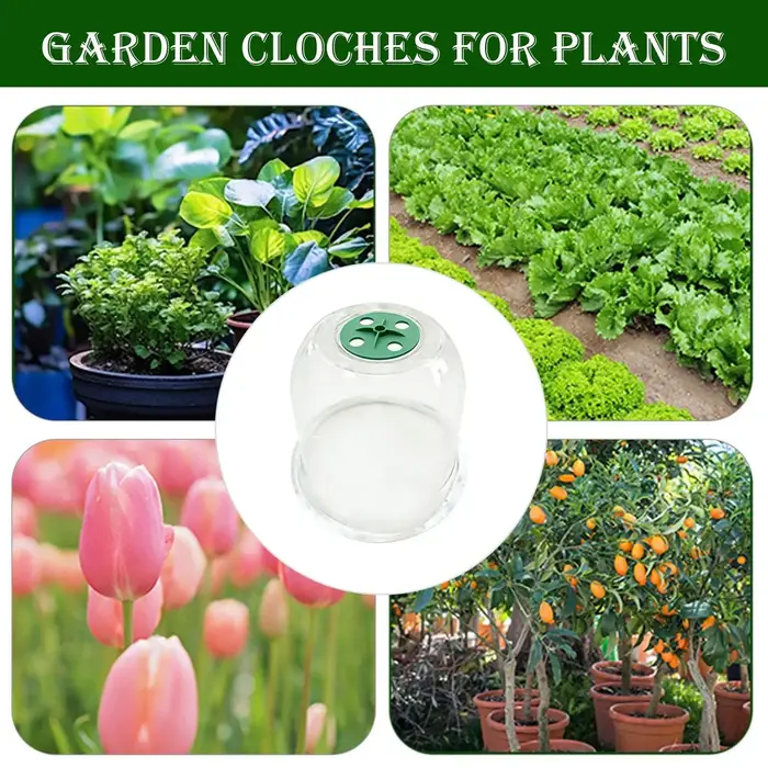 Couvre-plantes d'hiver transparents