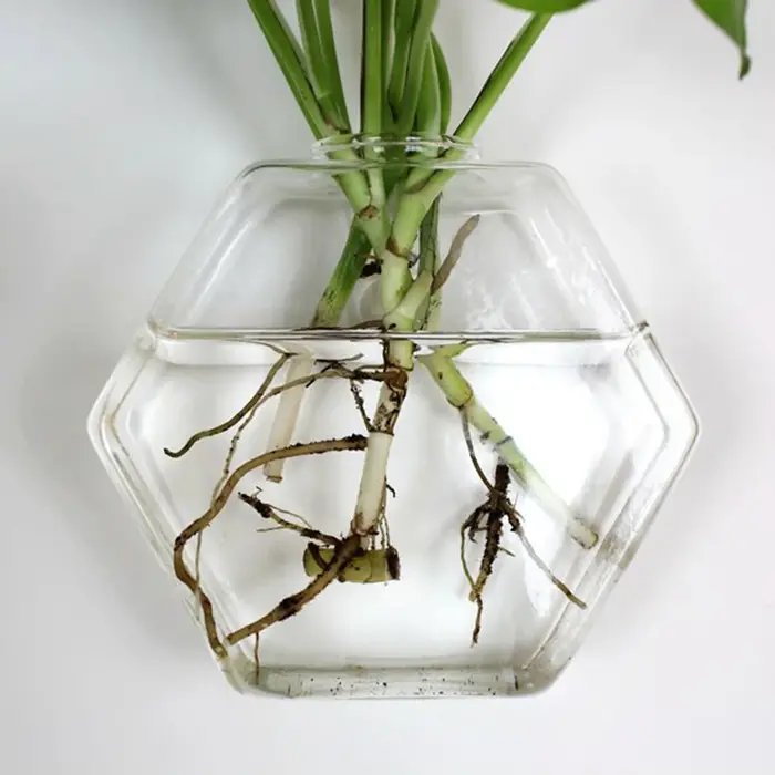 Vases muraux pour plantes d'intérieur