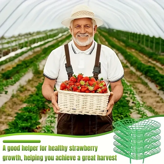 Lot de 12 supports de plantation pour fraises vertes