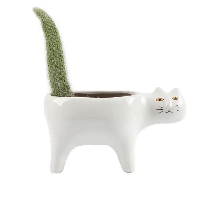 Pot de fleurs en céramique mignon pour balcon, décoration d'intérieur, plantes de cactus, conteneur 