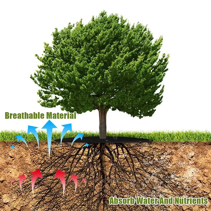 Anneau de paillis de protection d'arbres