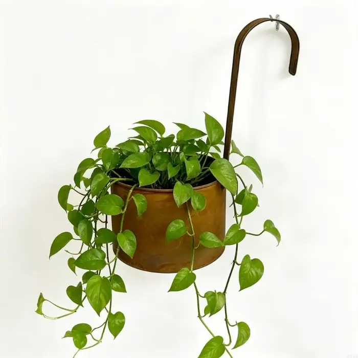 Pot fleurs suspendu Antique