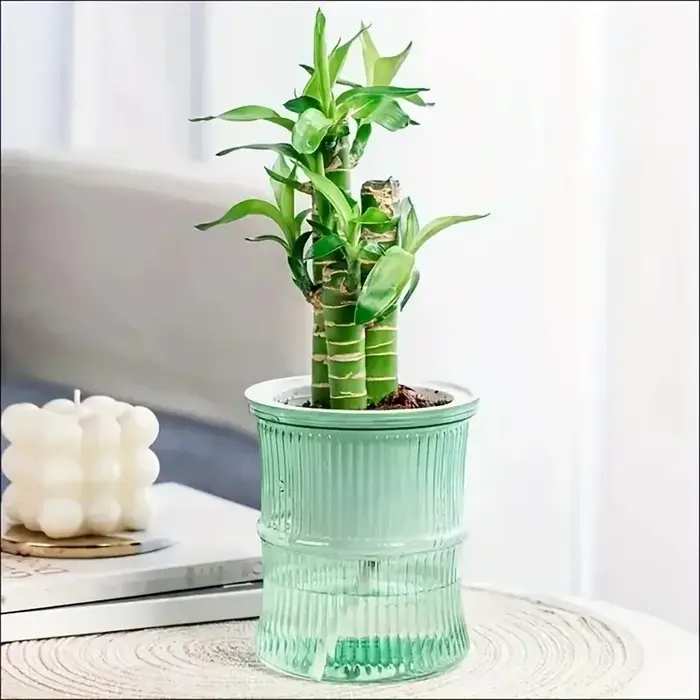 Pot de fleurs auto-arrosage automatique absorbant l'eau