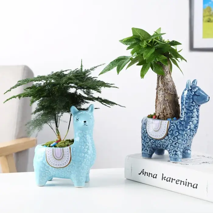 Pot de fleur succulente en alpaga, dessin animé mignon, conteneur de bureau placé en Pot, décoration