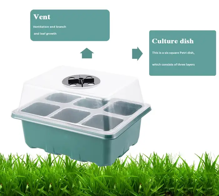 Boîte de Germination respirante à 6 cellules, Mini serre, jardinière pour pépinière, légumes, fleurs