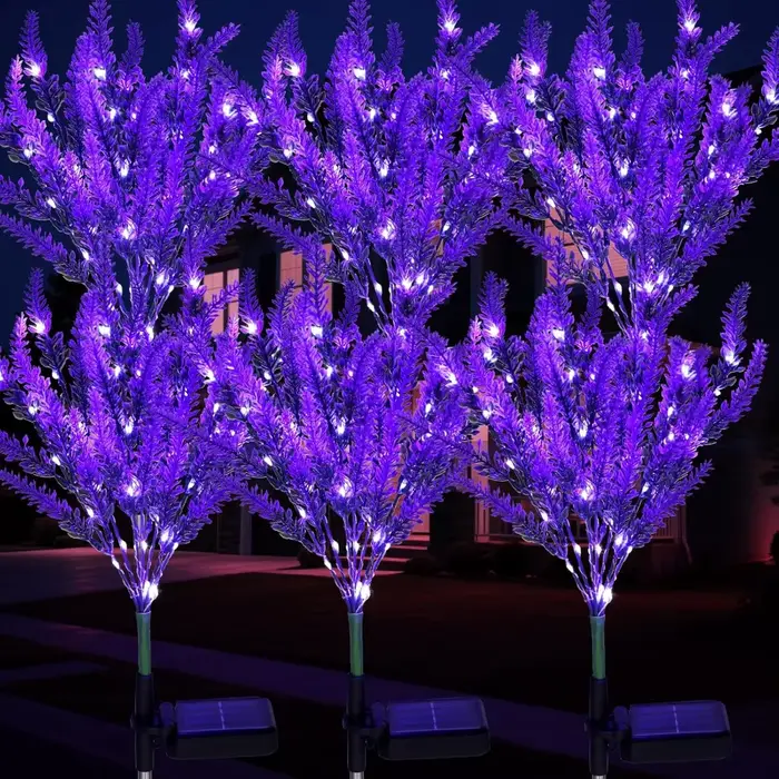 Décoration de jardin, pelouse