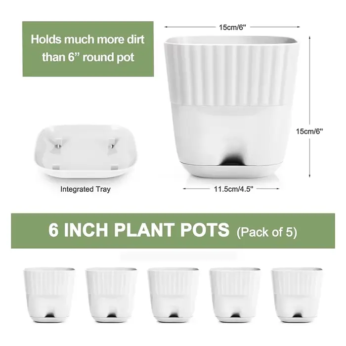 Pots de fleurs 6 pouces