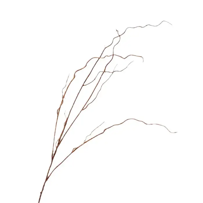 Simulation de Branches vaccées
