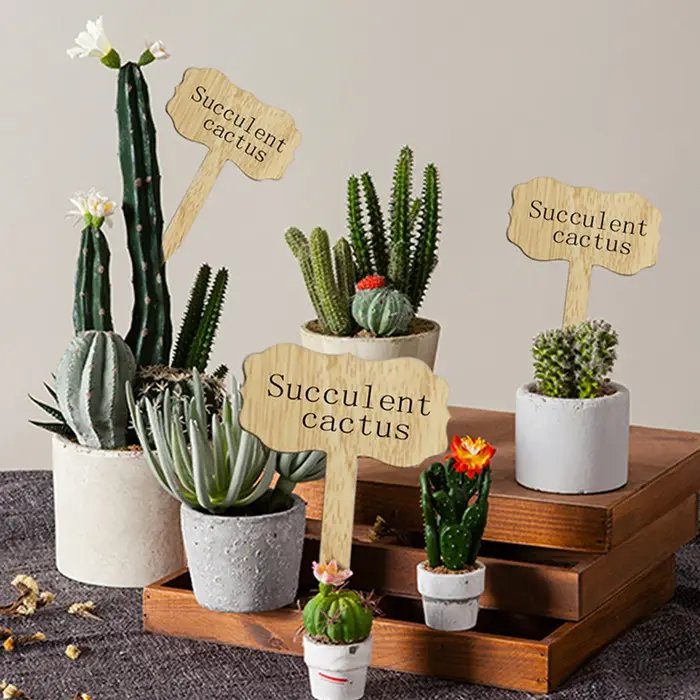Étiquettes de plantes en bois