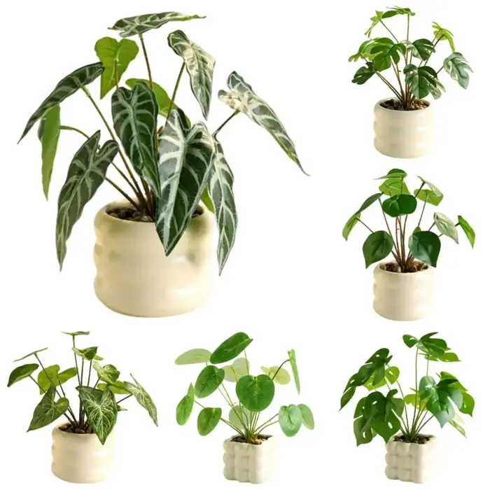 Plantes artificielles réalistes bonsaï élégant Simulation de la vie éternelle plante verte