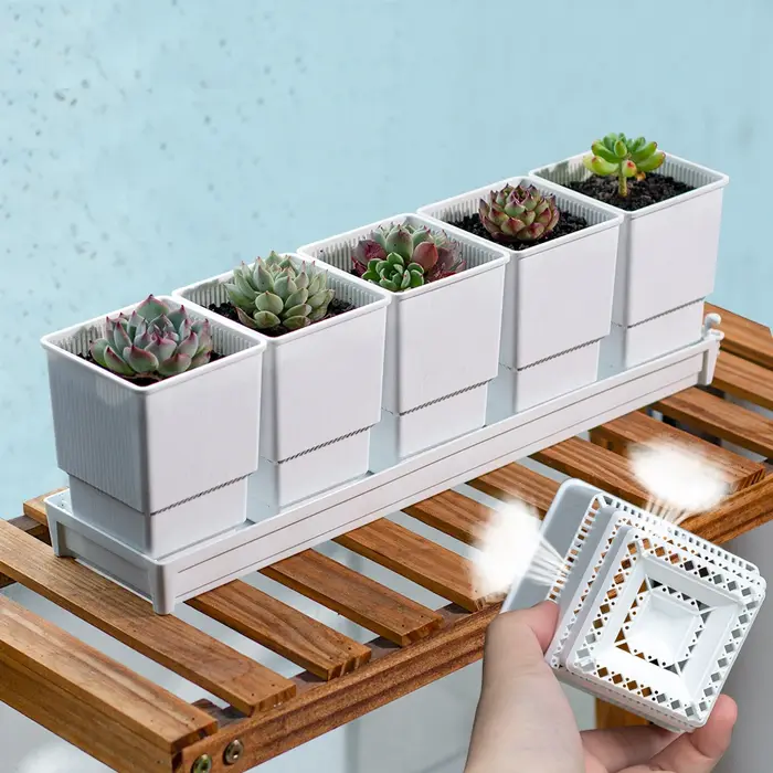Meshpot – jardinières succulentes avec plateau en plastique